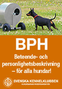 Denna bild har ett alt-attribut som är tomt. Dess filnamn är image-2.png